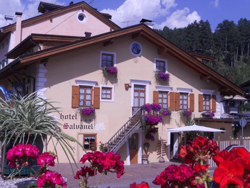 Hotel Garni Salvanel 卡瓦莱塞 外观 照片