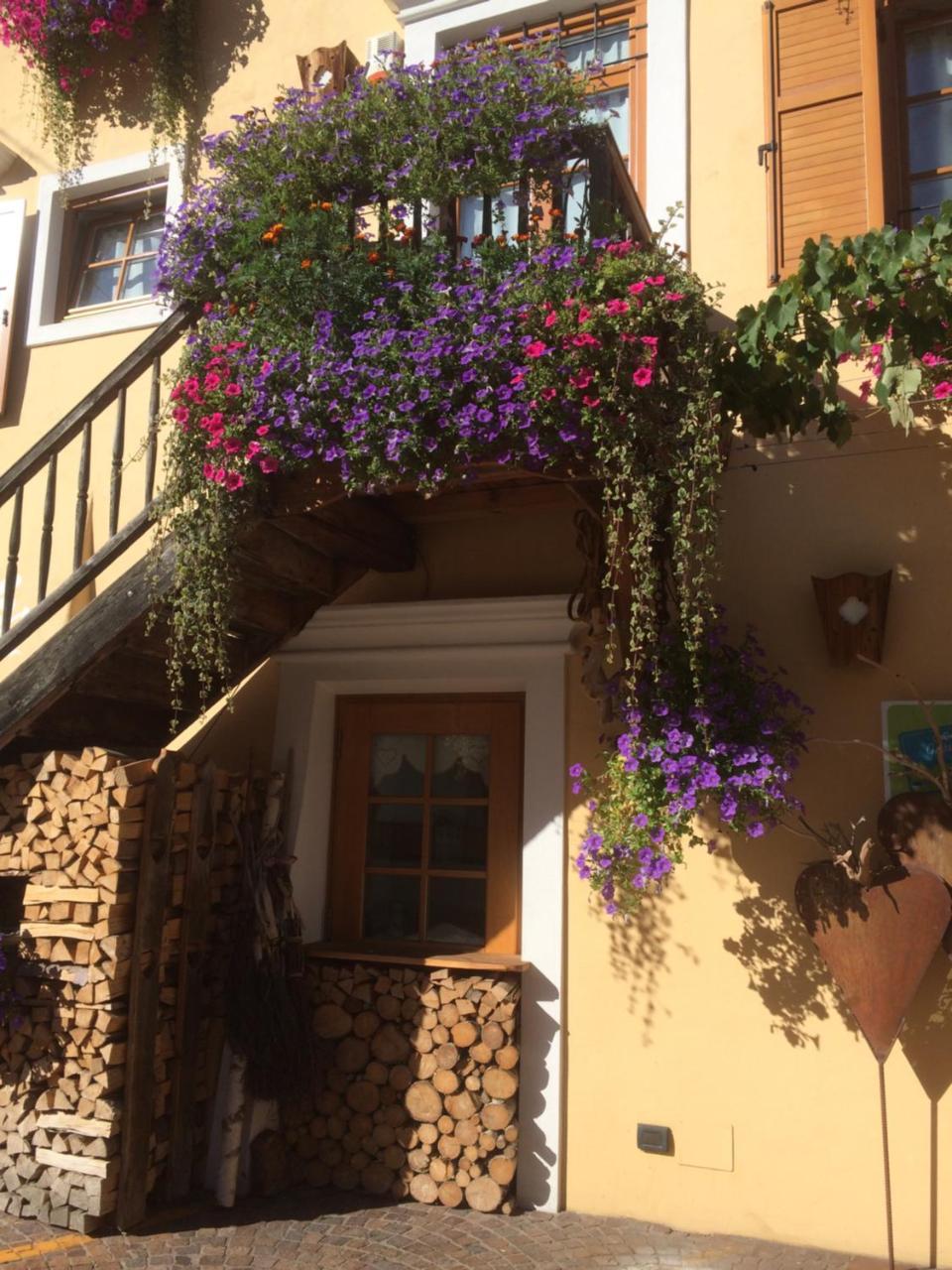 Hotel Garni Salvanel 卡瓦莱塞 外观 照片